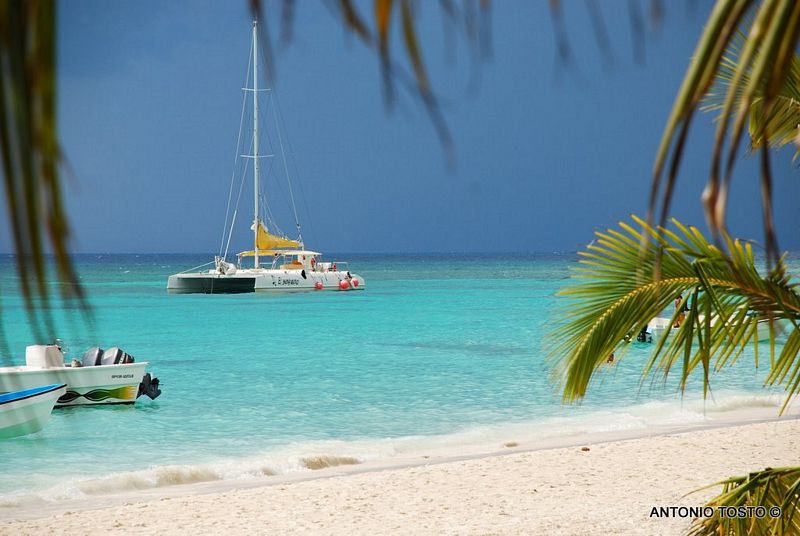 Catamaran at Beach - Saona Island